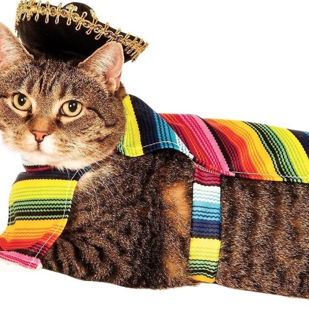 Pet Costume